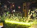 Wikingerparty (4)